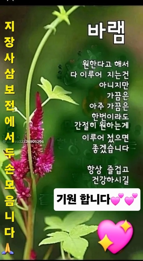 a599bddfba2c002fdafa281bfed2fe53_1788918343_7624.jpg