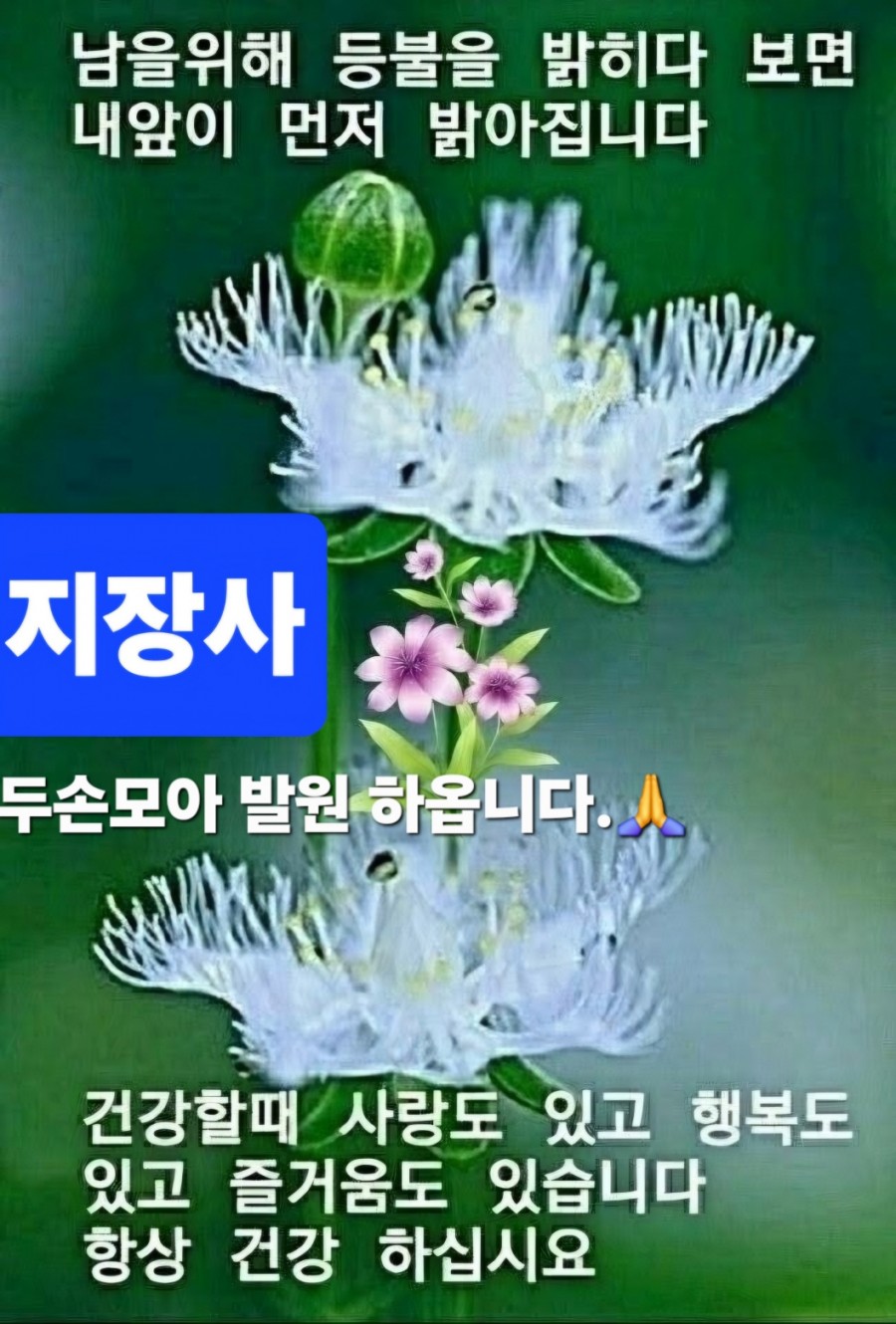 a599bddfba2c002fdafa281bfed2fe53_1788918429_7575.jpg